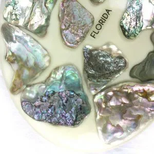 Original Designes | Kitchen | Vintage Original Designs Abalone Oyster ...